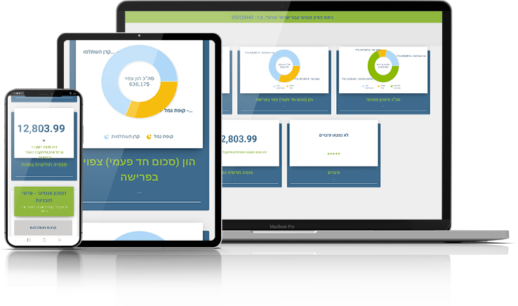 הצגת המידע במחשב ובנייד